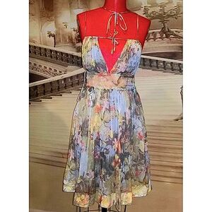 Philosophy Alberta FERRETTI floral chiffon dress S